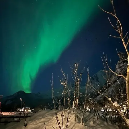 Tindgaard Apartment Orsvag