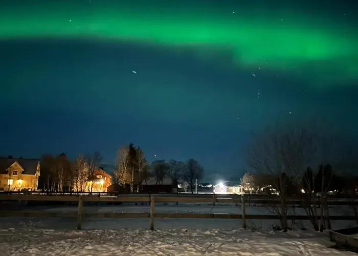 Tindgaard * Orsvag