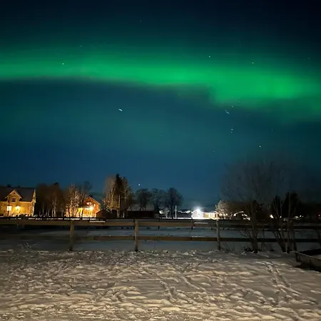 Tindgaard * Orsvag